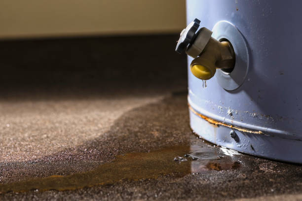 Best Mold removal after water damage  in Parsons, KS
