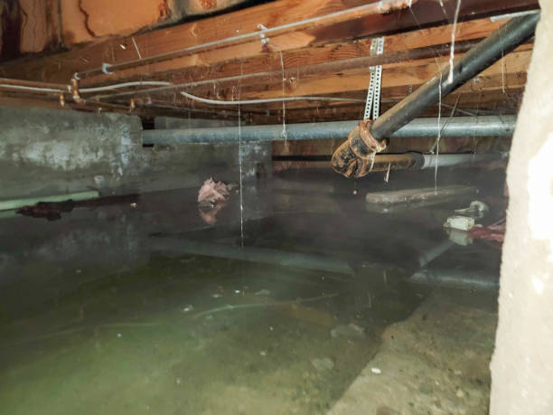 Best Water damage contractors near me  in Parsons, KS