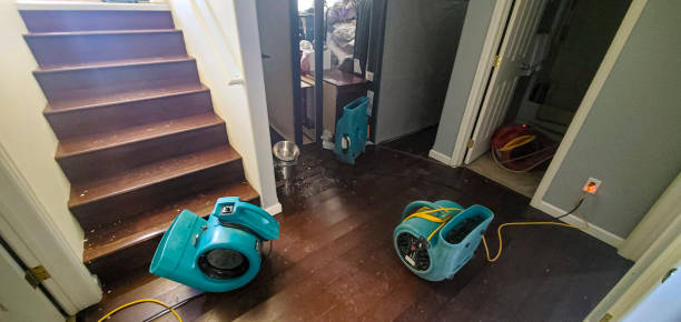 Best Water damage restoration near me  in Parsons, KS