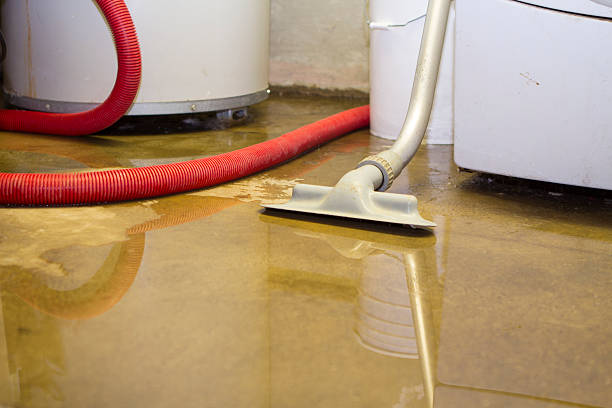 Best Water damage contractors near me  in Parsons, KS