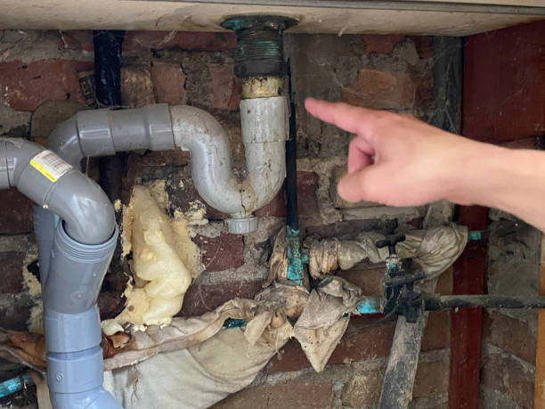 Best Professional water damage repair  in Parsons, KS